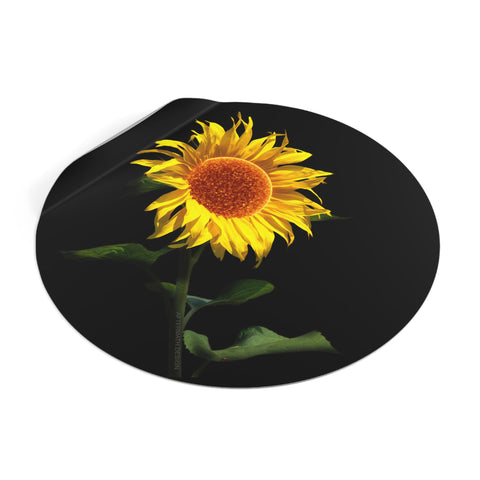 AM Sunflower Vinyl Stickers
